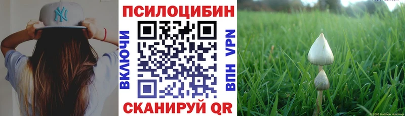 Галлюциногенные грибы прущие грибы Карабулак